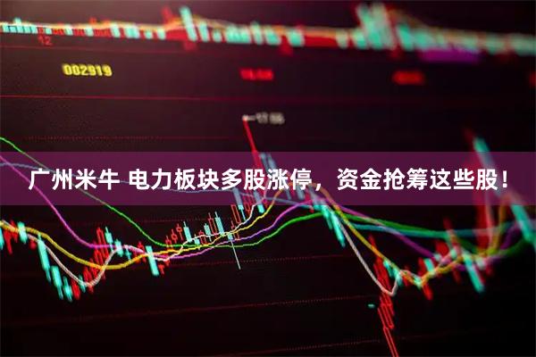 广州米牛 电力板块多股涨停,资金抢筹这些股!